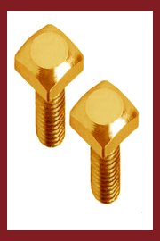 Brass Square Bolts